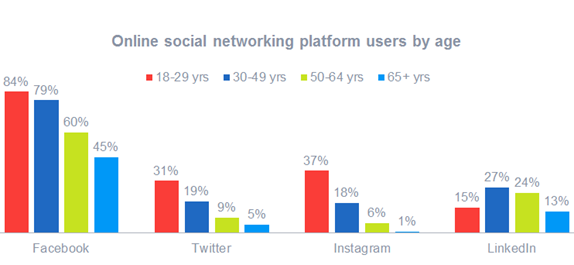 Social media network demographics